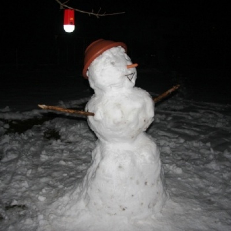 Auch Schneemänner lieben M-Lumi